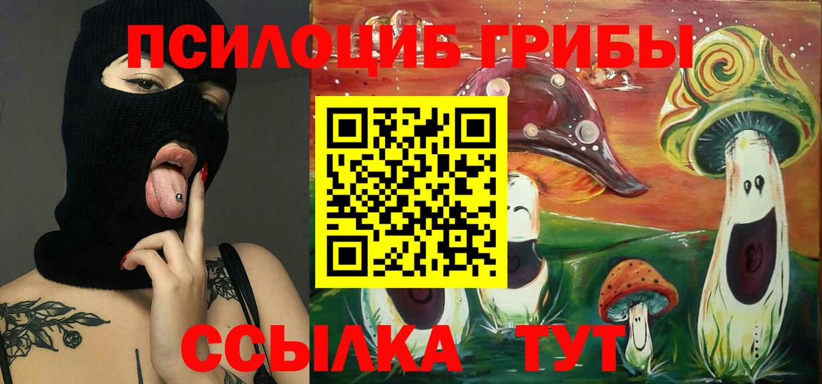 Новозыбков  Псилоцибиновые грибы Psilocybe  Вход с VPN 