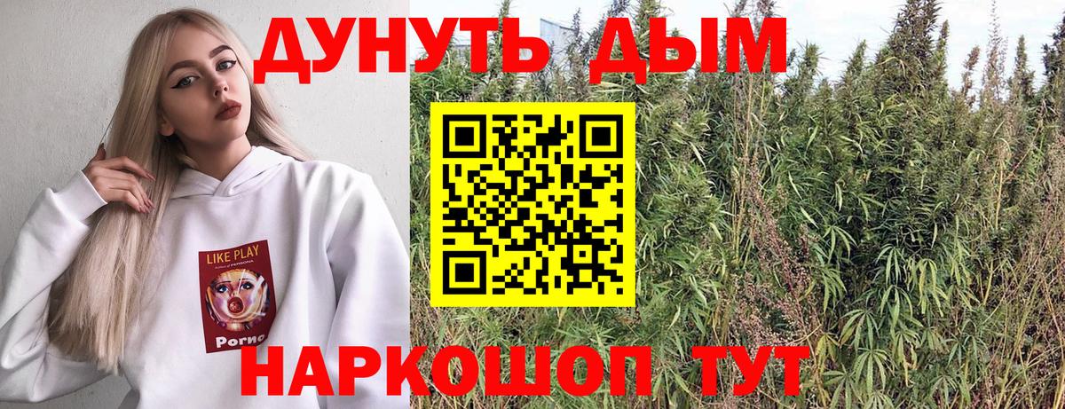 Каннабис гибрид Новозыбков